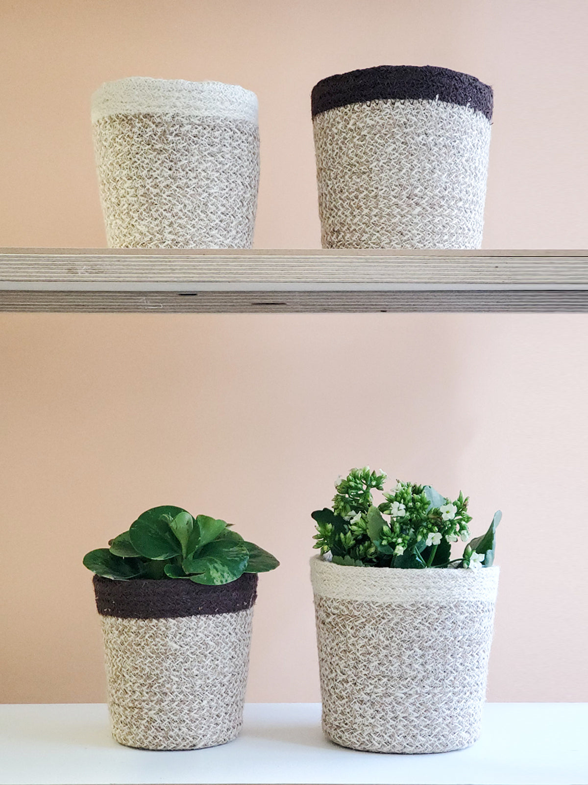 Agora Plant Basket - White