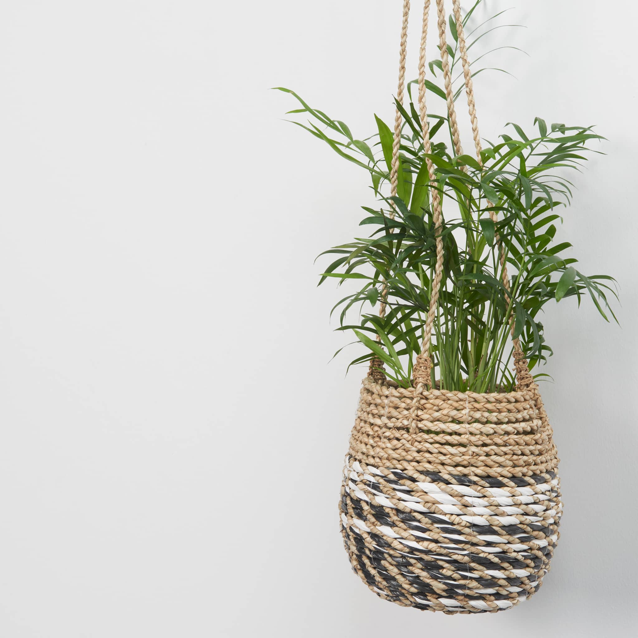 Hanging Pot Basket