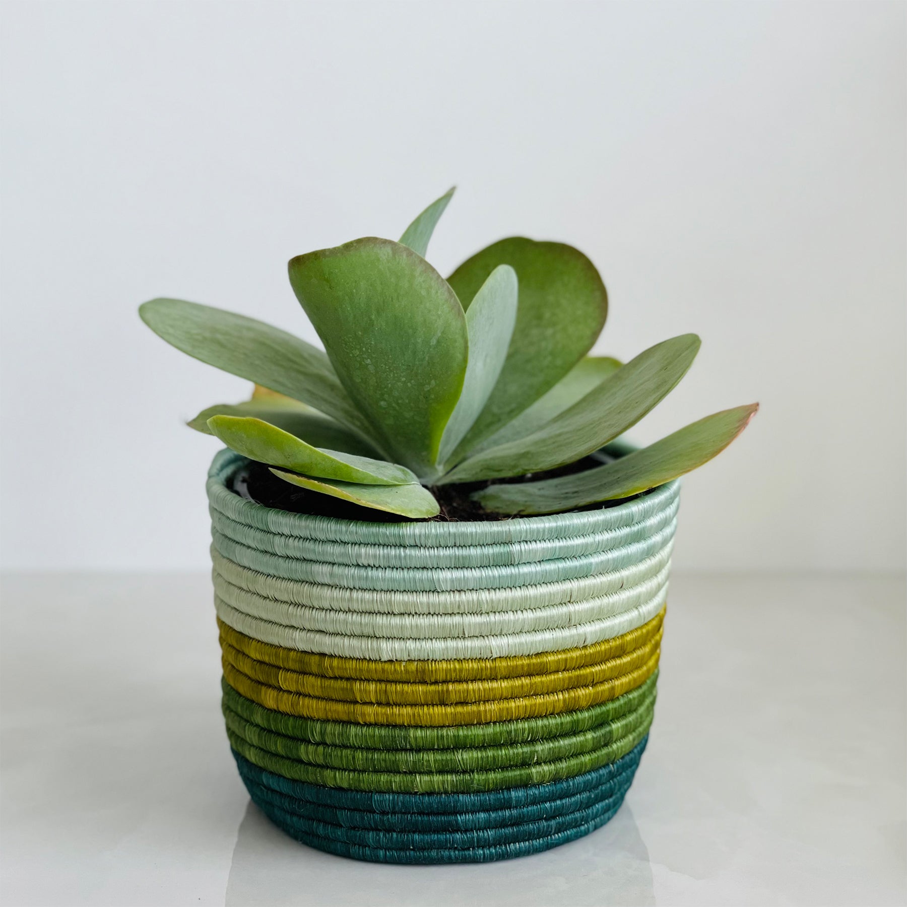 7" Shades of Green Striped Tapered Planter