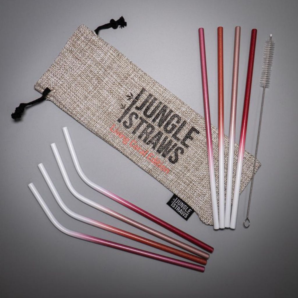 Foldable and Reusable Stainless Steel Straw in a Wheat Straw Case – Planet  Renu